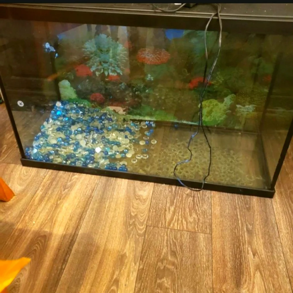 26 gallon fish tank